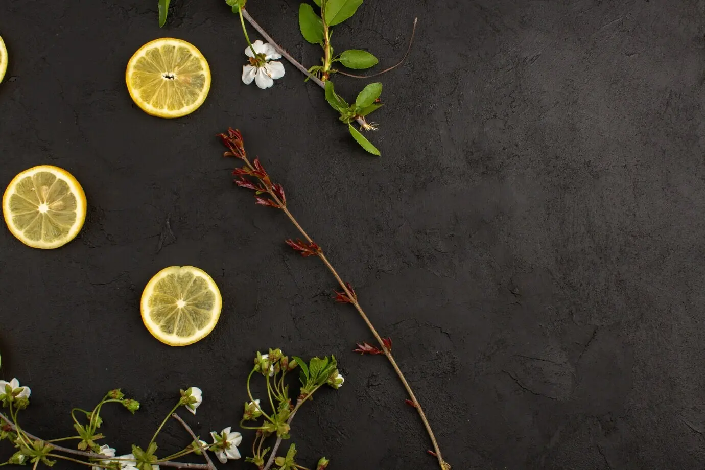 Draufsicht auf eine geschnittene, frische, saure Zitrone zusammen mit weißen Blumen auf dunklem Hintergrund.